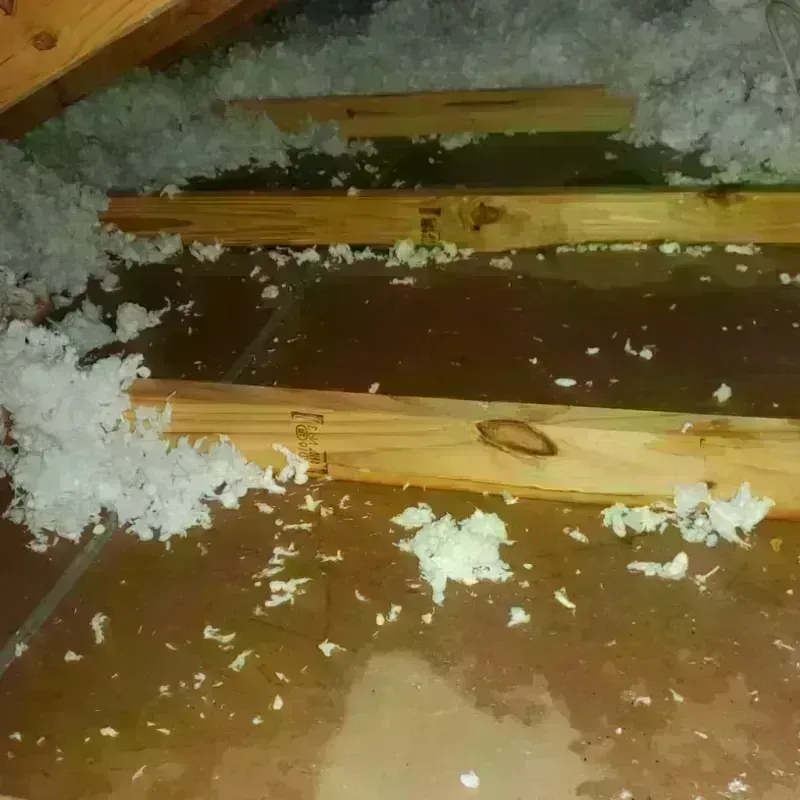 Attic Water Damage in West Point, NY